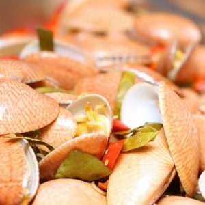 clam