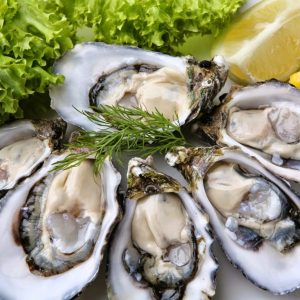 oyster