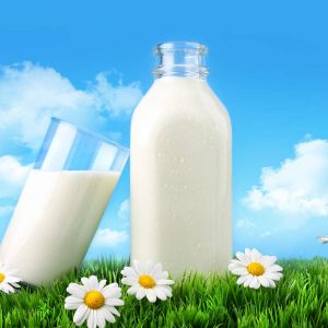milk