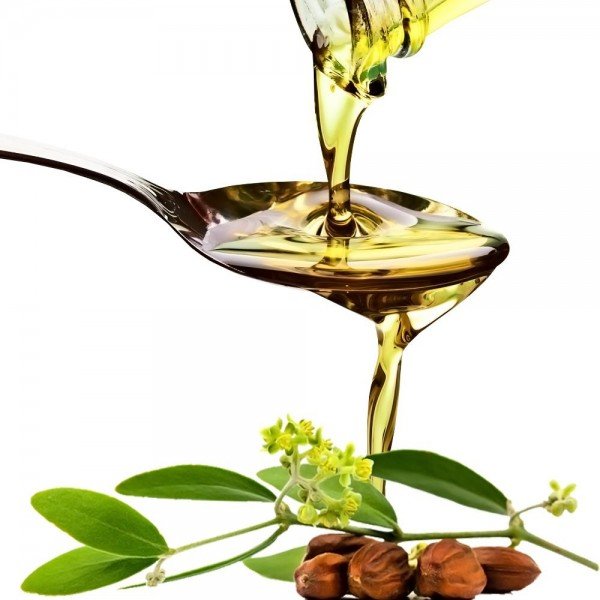 jojoba is the perfect facial massage oil for oily skin