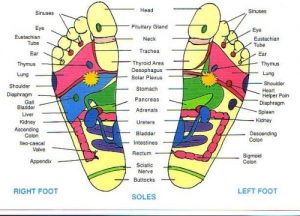 learn the acupressure feet to help the massage process effectively