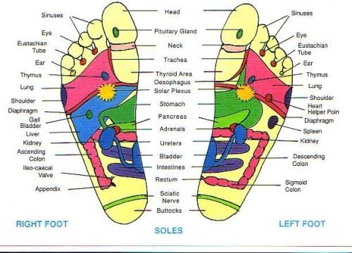 learn the acupressure feet to help the massage process effectively learn the acupressure feet to help the massage process effectively