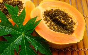 papaya - a fruit rich in antioxidants